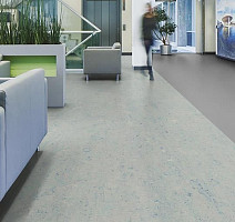 Forbo Marmoleum Decibel on Order 342935 bluemoon фото 2 | FLOORDEALER